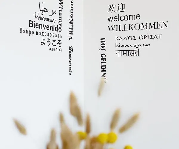 Luminoso Con Terrazzo Vicino All'universita'